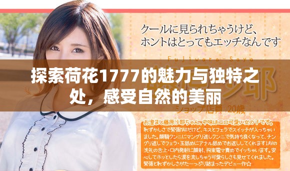 探索荷花1777的魅力与独特之处，感受自然的美丽
