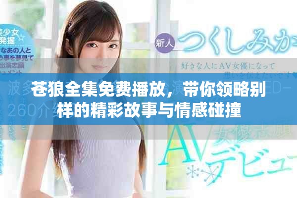 苍狼全集免费播放，带你领略别样的精彩故事与情感碰撞