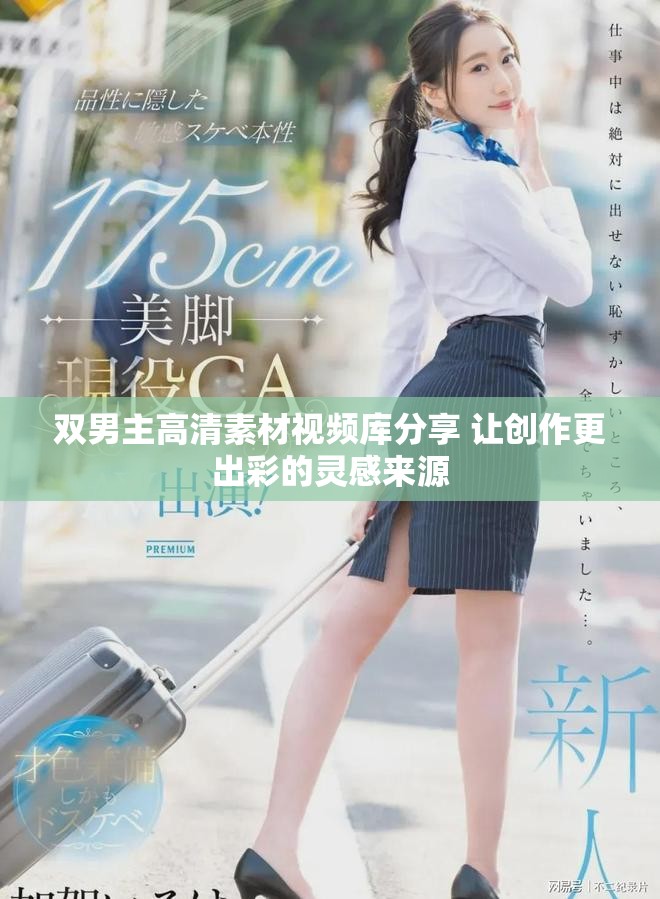 双男主高清素材视频库分享 让创作更出彩的灵感来源