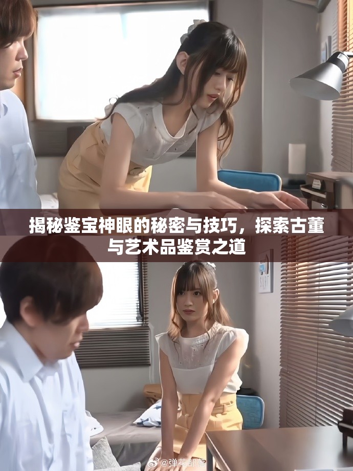 揭秘鉴宝神眼的秘密与技巧，探索古董与艺术品鉴赏之道