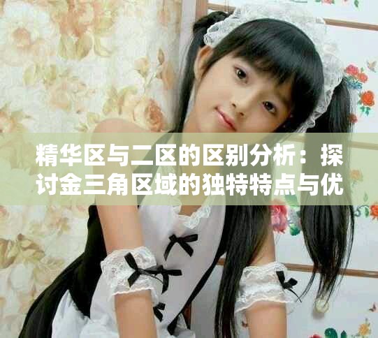 精华区与二区的区别分析：探讨金三角区域的独特特点与优势