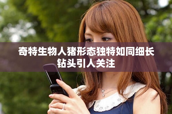 奇特生物人猪形态独特如同细长钻头引人关注