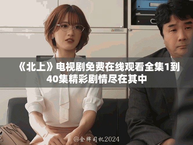 《北上》电视剧免费在线观看全集1到40集精彩剧情尽在其中