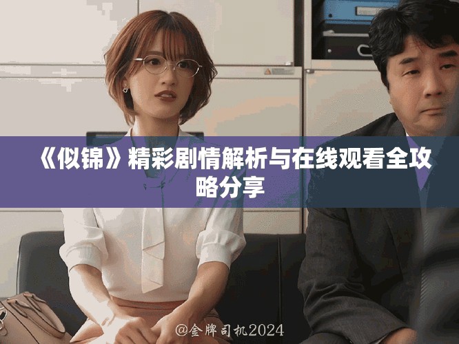 《似锦》精彩剧情解析与在线观看全攻略分享