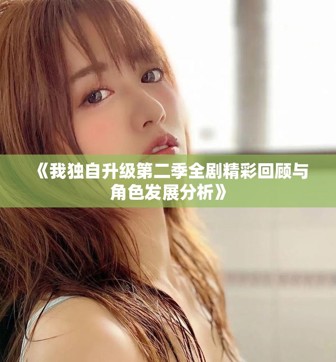 《我独自升级第二季全剧精彩回顾与角色发展分析》
