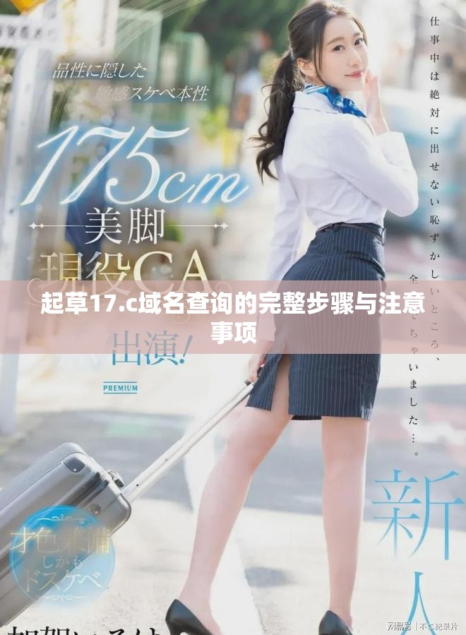 起草17.c域名查询的完整步骤与注意事项
