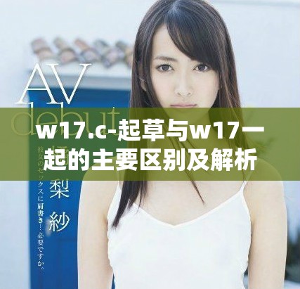 w17.c-起草与w17一起的主要区别及解析分析