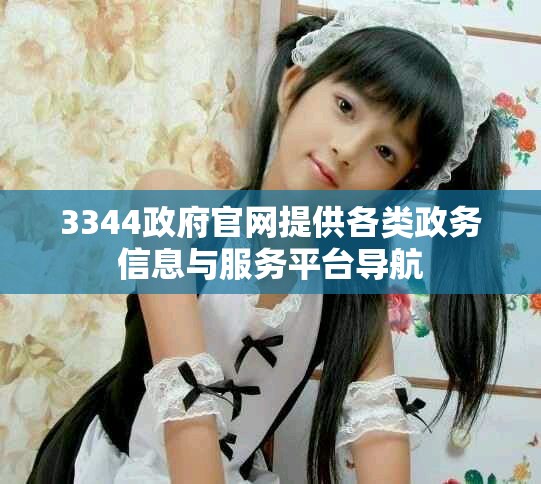 3344政府官网提供各类政务信息与服务平台导航