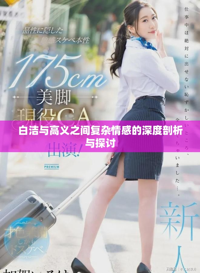 白洁与高义之间复杂情感的深度剖析与探讨