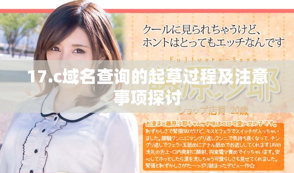 17.c域名查询的起草过程及注意事项探讨