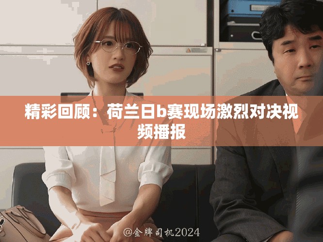 精彩回顾：荷兰日b赛现场激烈对决视频播报