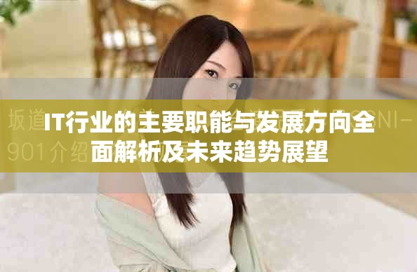 IT行业的主要职能与发展方向全面解析及未来趋势展望