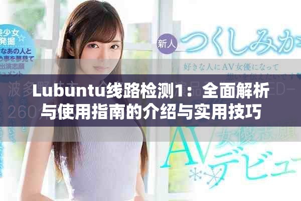 Lubuntu线路检测1：全面解析与使用指南的介绍与实用技巧