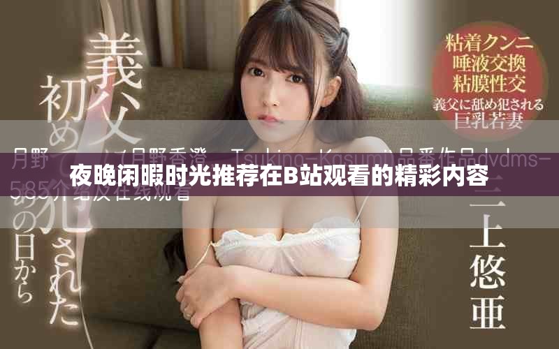 夜晚闲暇时光推荐在B站观看的精彩内容