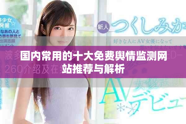 国内常用的十大免费舆情监测网站推荐与解析