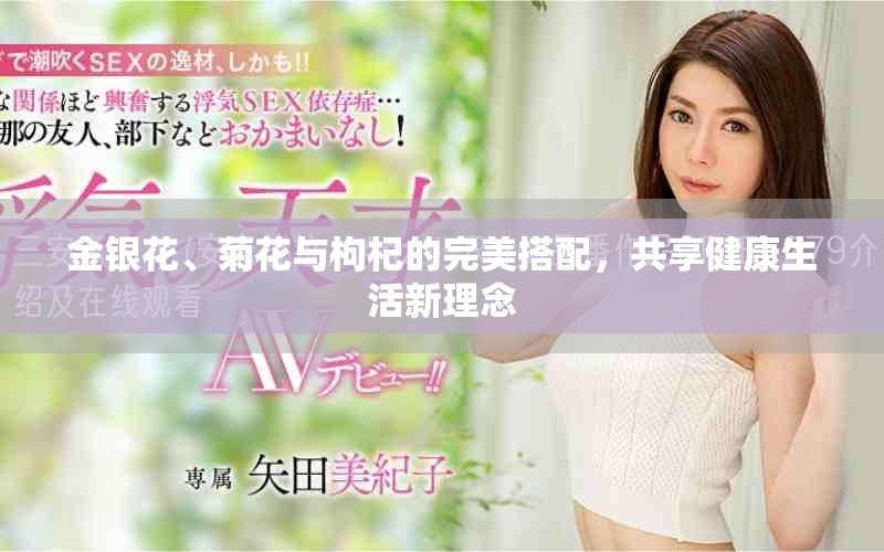 金银花、菊花与枸杞的完美搭配，共享健康生活新理念