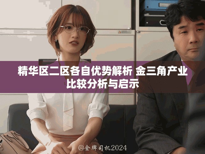 精华区二区各自优势解析 金三角产业比较分析与启示