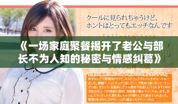 《一场家庭聚餐揭开了老公与部长不为人知的秘密与情感纠葛》