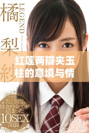 红莲两瓣夹玉柱的意境与情感深邃的四句经典诗词解读