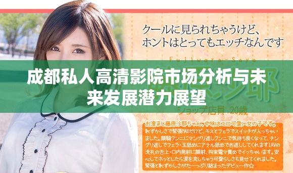 成都私人高清影院市场分析与未来发展潜力展望