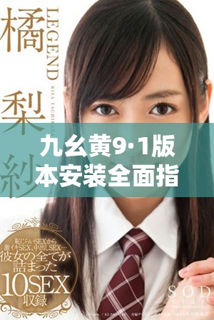 九幺黄9·1版本安装全面指南与注意事项详解