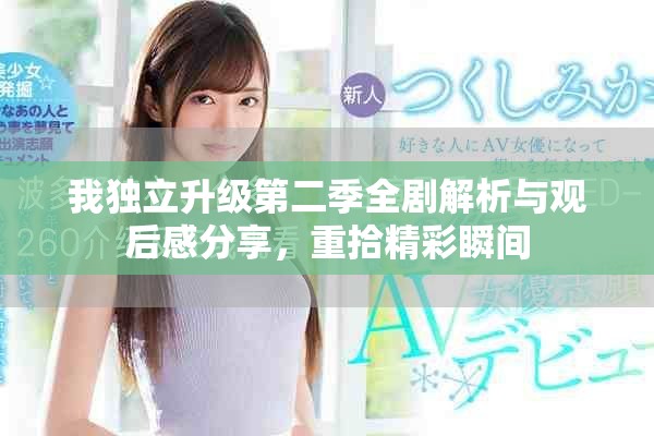 我独立升级第二季全剧解析与观后感分享，重拾精彩瞬间