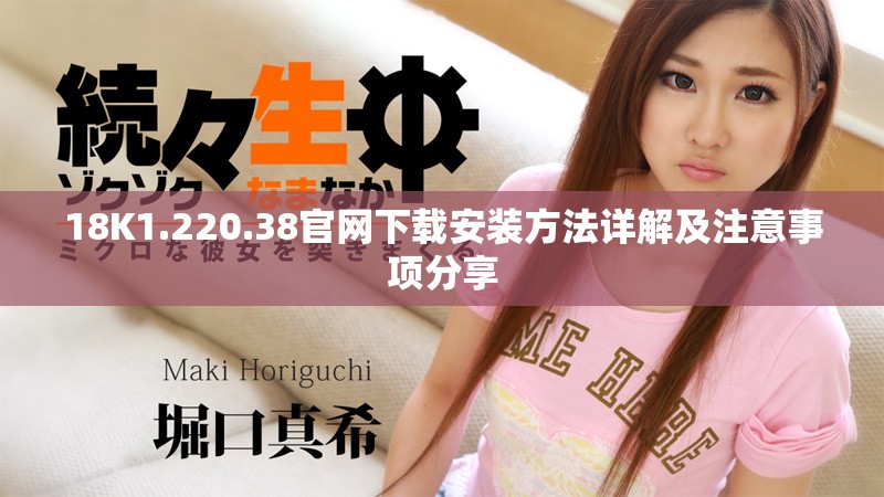 18K1.220.38官网下载安装方法详解及注意事项分享