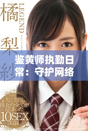 鉴黄师执勤日常：守护网络安全与清朗环境的前沿先锋