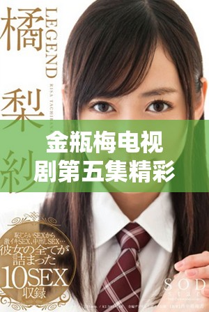 金瓶梅电视剧第五集精彩剧情解析与在线观看推荐