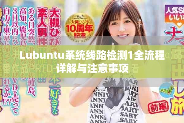 Lubuntu系统线路检测1全流程详解与注意事项