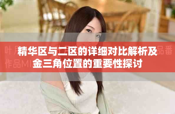 精华区与二区的详细对比解析及金三角位置的重要性探讨