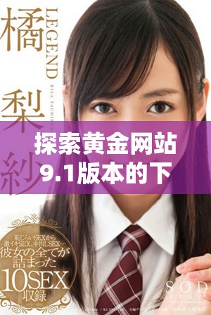 探索黄金网站9.1版本的下载安装指南与注意事项