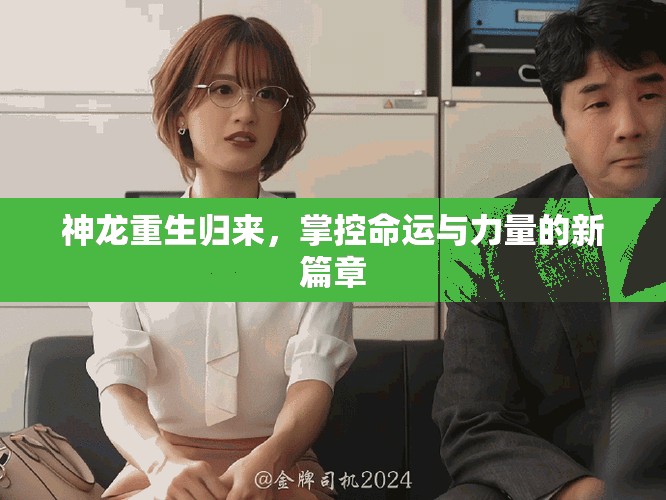 神龙重生归来，掌控命运与力量的新篇章