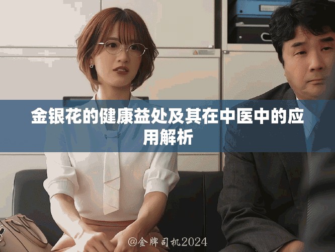 金银花的健康益处及其在中医中的应用解析