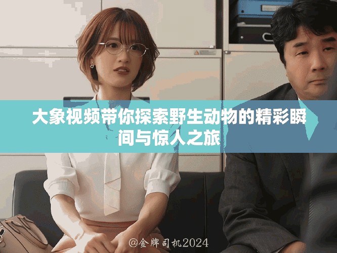大象视频带你探索野生动物的精彩瞬间与惊人之旅