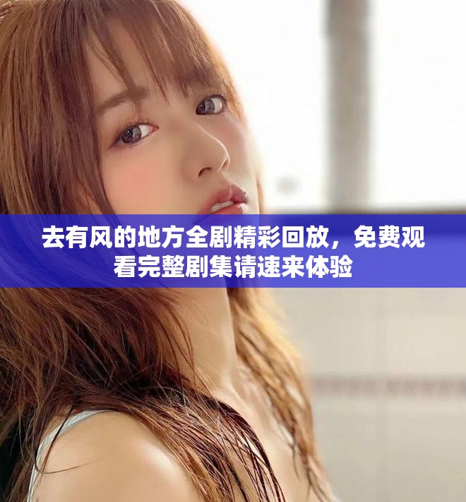去有风的地方全剧精彩回放，免费观看完整剧集请速来体验