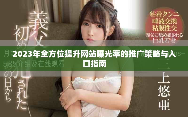 2023年全方位提升网站曝光率的推广策略与入口指南