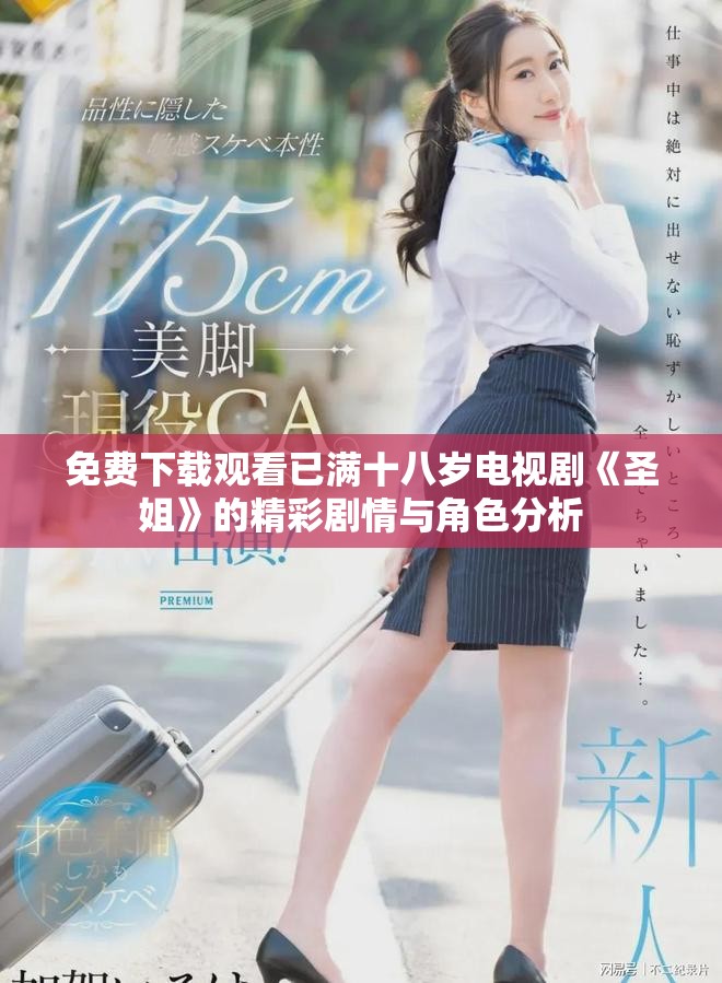 免费下载观看已满十八岁电视剧《圣姐》的精彩剧情与角色分析
