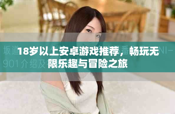 18岁以上安卓游戏推荐，畅玩无限乐趣与冒险之旅