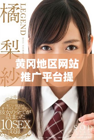 黄冈地区网站推广平台提供免费广告投放下载服务
