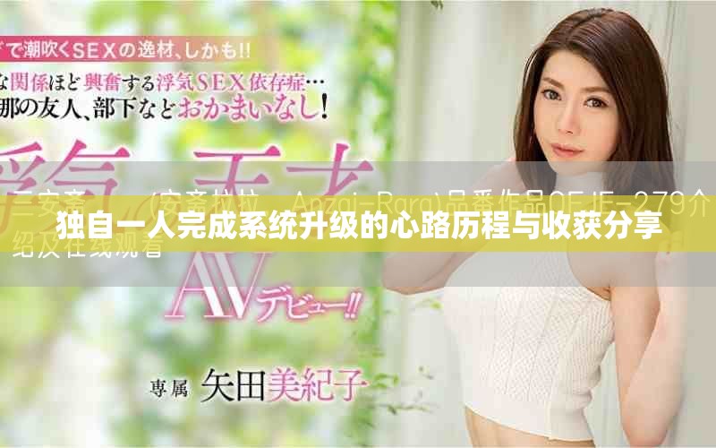 独自一人完成系统升级的心路历程与收获分享