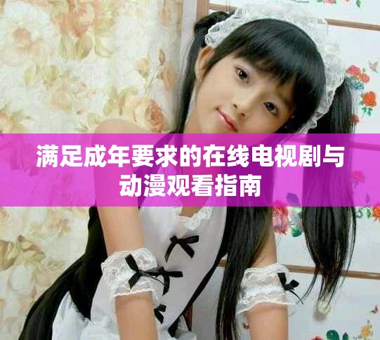 满足成年要求的在线电视剧与动漫观看指南