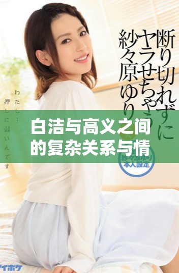 白洁与高义之间的复杂关系与情感纠葛深度分析