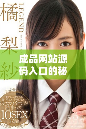成品网站源码入口的秘密通道与获取方式揭秘