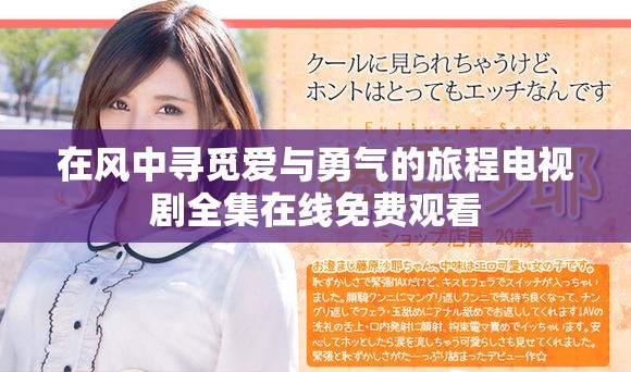 在风中寻觅爱与勇气的旅程电视剧全集在线免费观看