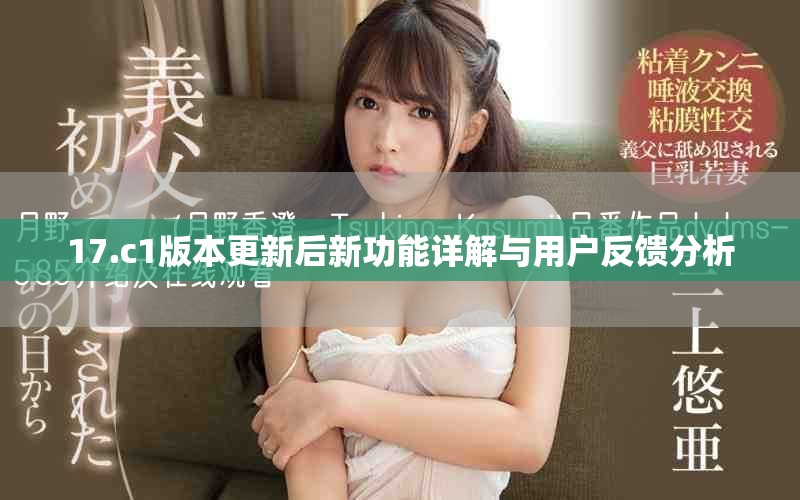 17.c1版本更新后新功能详解与用户反馈分析
