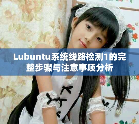 Lubuntu系统线路检测1的完整步骤与注意事项分析