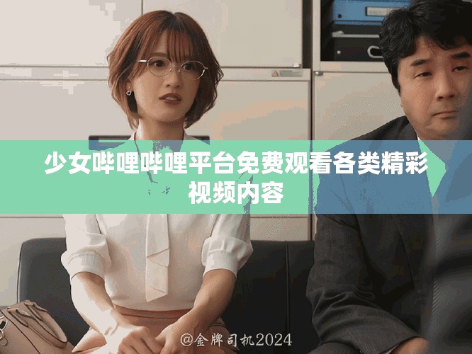 少女哔哩哔哩平台免费观看各类精彩视频内容