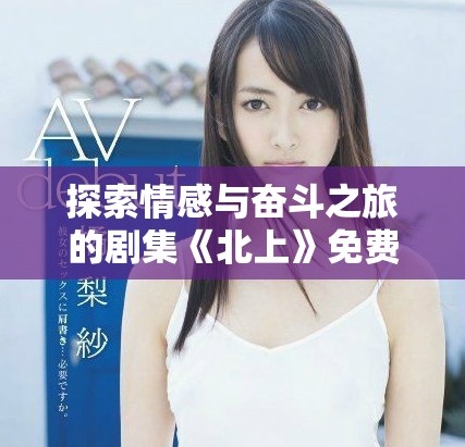 探索情感与奋斗之旅的剧集《北上》免费观看体验