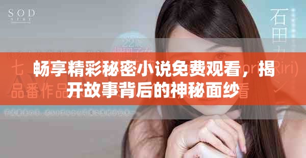 畅享精彩秘密小说免费观看，揭开故事背后的神秘面纱